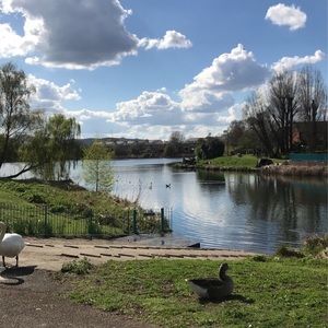 Meet your Posher, Haifa